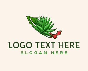 Mexico Plant Botanical Logo