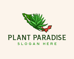 Mexico Plant Botanical logo design