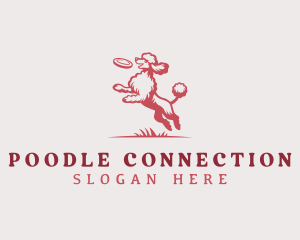 Poodle Dog Frisbee logo