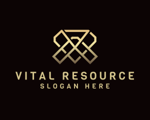 Luxury Diamond Letter VA Logo