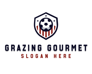 Soccer Ball Shield logo design