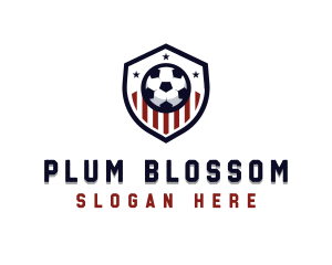 Soccer Ball Shield logo design