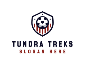 Soccer Ball Shield logo design