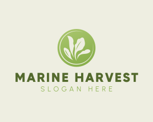 Eco Farm Harvest logo design