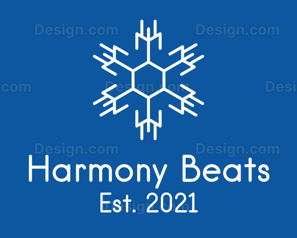 Hexagon Winter Snowflake Logo