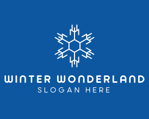 Hexagon Winter Snowflake  logo