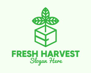 Green Plant Box logo design