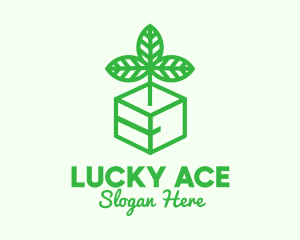 Green Plant Box logo design