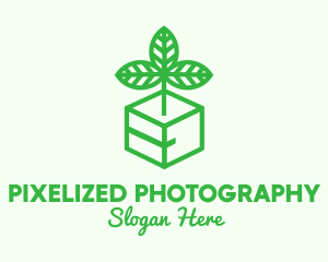 Green Plant Box logo design