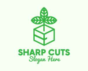 Green Plant Box logo design