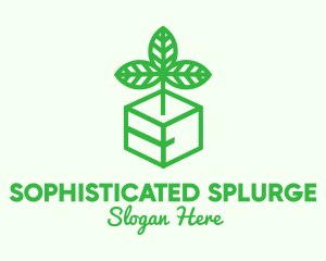 Green Plant Box logo design