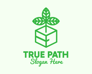 Green Plant Box logo design