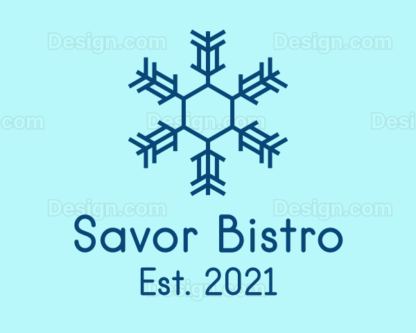 Winter Snowflake Pattern Logo