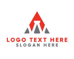 Professional Business Company logo