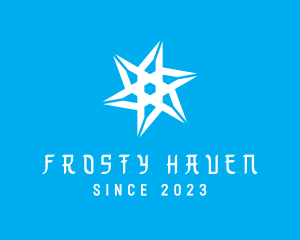 Cold Winter Snowflake logo