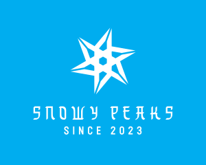 Cold Winter Snowflake logo