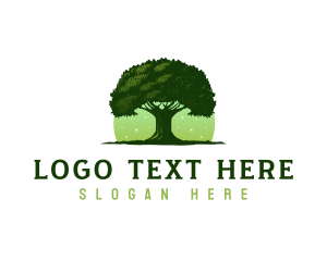 Oak Tree Nature logo