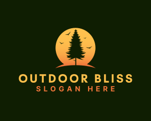 Pine Tree Sunset logo design