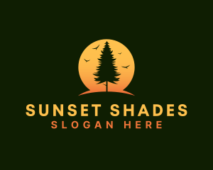 Pine Tree Sunset logo design