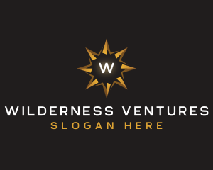 Luxury Star Compass logo design