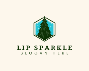 Eco Pine Tree logo design