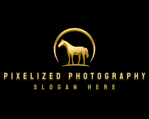 Horse Equestrian Stallion logo design