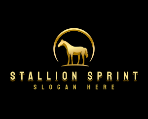 Horse Equestrian Stallion logo design