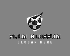 Soccer Star Team logo design