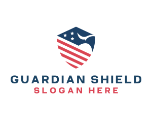 American Eagle Shield logo design