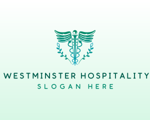 Caduceus Diagnostic Clinic logo design