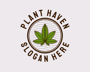 Medicinal Hemp Plant logo design