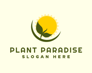 Sunshine Plant Seedling logo design