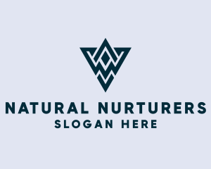 Abstract Triangle Shape logo design