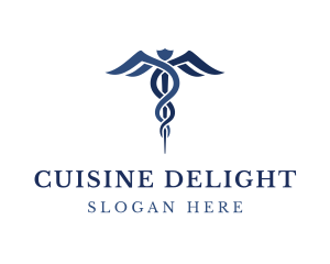 Blue Hospital Caduceus logo design