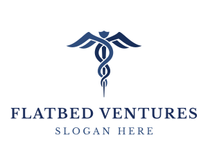 Blue Hospital Caduceus logo design