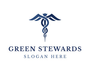 Blue Hospital Caduceus logo design