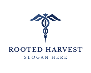 Blue Hospital Caduceus logo design