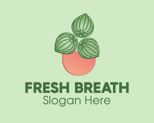 Watermelon Peperomia Plant logo design