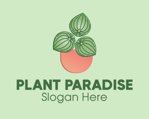 Watermelon Peperomia Plant logo design