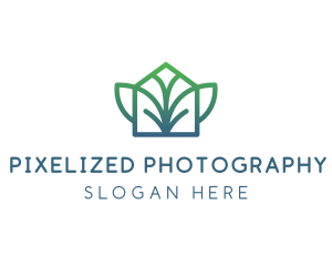 Green Abstract Leaf logo design