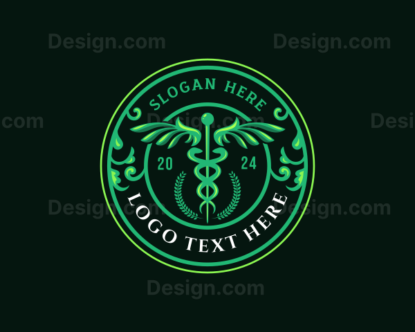 Medical Caduceus Wings Logo