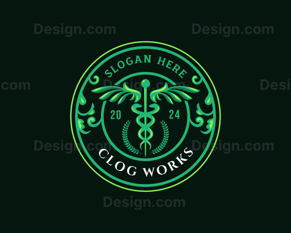 Medical Caduceus Wings Logo