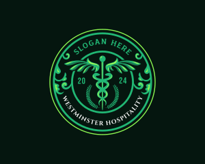 Medical Caduceus Wings logo design