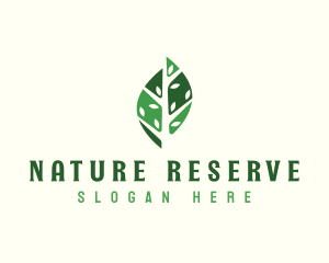 Natural Tree Leaf logo design