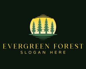 Forest Woods Sunset logo