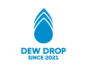 Blue Drops Wash logo design