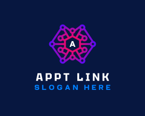 Network Link Software logo design