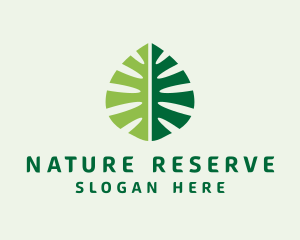 Organic Nature Leaf logo design