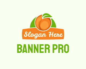 Orange Fruit Banner logo design