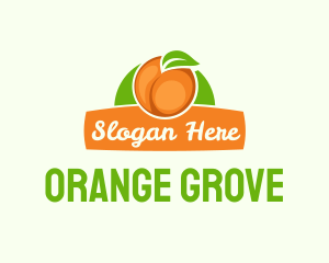 Orange Fruit Banner logo design